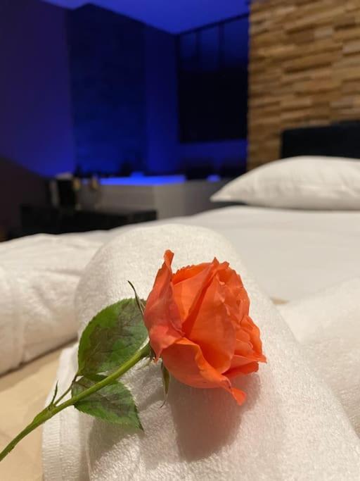 Le Cocon Des Granges - Suite Sauna Jaccuzi Spa Bonnieres-sur-Seine エクステリア 写真